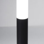 MUSK - Image 3