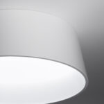 NICHI - Image 3