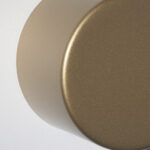 CAPI - Image 3