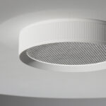 FREYA - Image 4